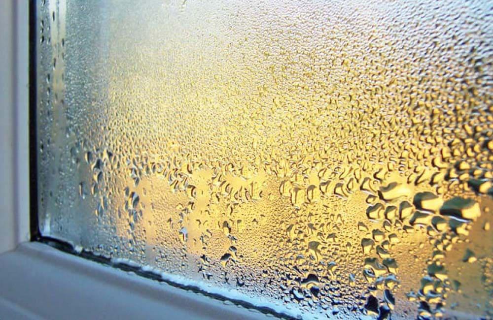 How to prevent mould on your windows during winter