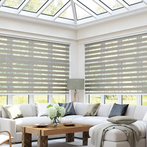 Vision Blinds